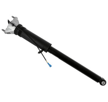 Tlmič pérovania SACHS 319 190