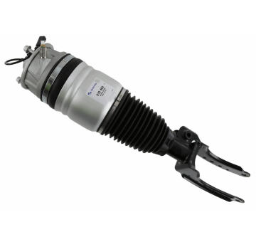 Vzduchový vak SACHS 319 403