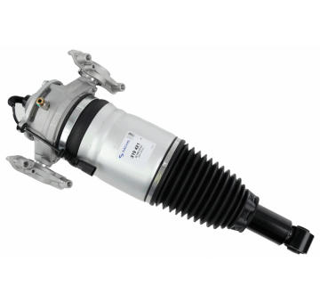 Vzduchova vzpera SACHS 319 421