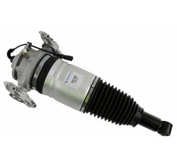 Vzduchový vak SACHS 319 422