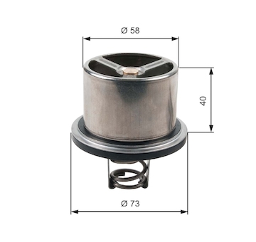 Termostat, chladivo GATES TH07882