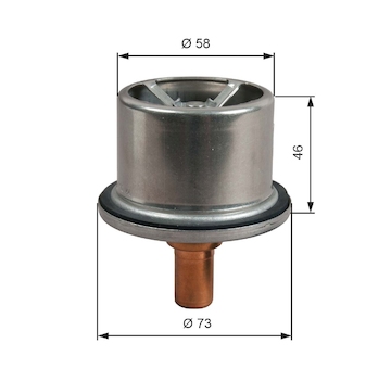 Termostat, chladivo GATES TH51287G1