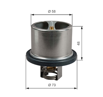 Termostat, chladivo GATES TH51785G1