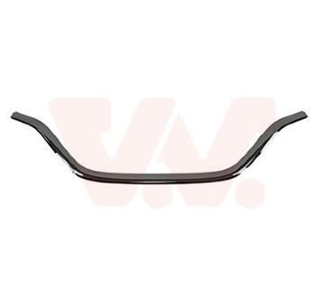 Ozdobna / ochranna lista, mrizka chladice VAN WEZEL 4403517