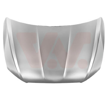 Kapota motora VAN WEZEL 4929660