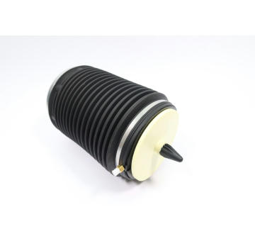 Vzduchova pruzina, podvozek MONROE ASP018