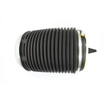 Vzduchova pruzina, podvozek MONROE ASP019