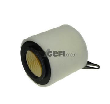 Vzduchový filtr PURFLUX A1201