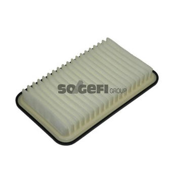 Vzduchový filtr PURFLUX A1401