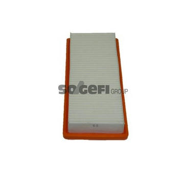 Vzduchový filtr PURFLUX A1404