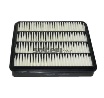 Vzduchový filtr PURFLUX A1521