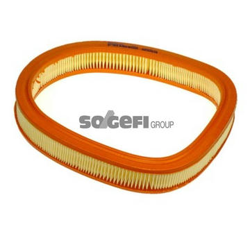 Vzduchový filtr PURFLUX A959