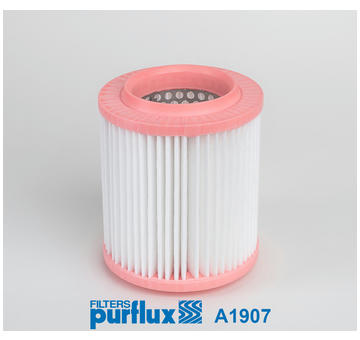 Vzduchový filtr PURFLUX A1907