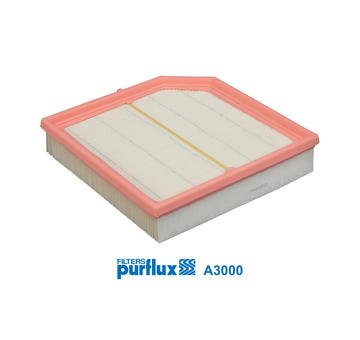Vzduchový filtr PURFLUX A3000