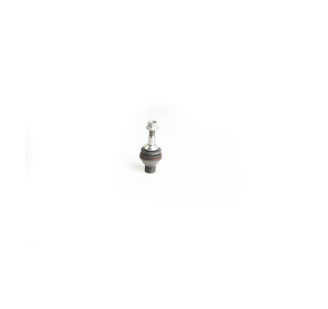 Podpora-/ Kloub SKF VKDS 318202