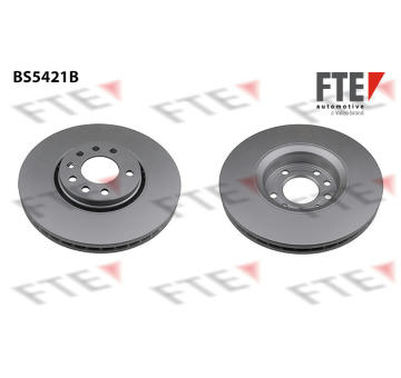 Brzdový kotouč FTE 9081176