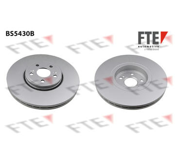 Brzdový kotouč FTE 9081191