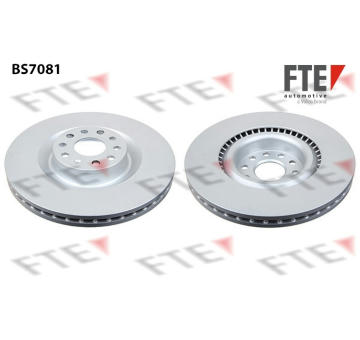 Brzdový kotouč FTE 9071072