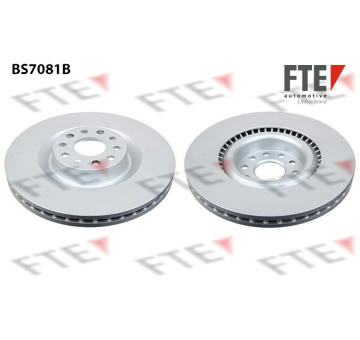 Brzdový kotouč FTE 9081055