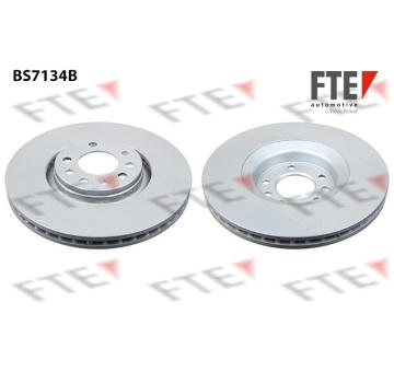 Brzdový kotouč FTE 9081192