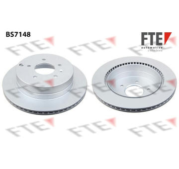 Brzdový kotouč FTE 9071376