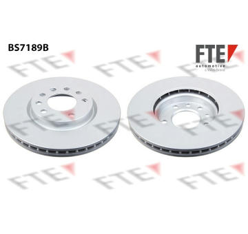 Brzdový kotouč FTE 9082145