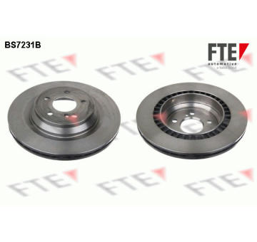 Brzdový kotouč FTE 9081188