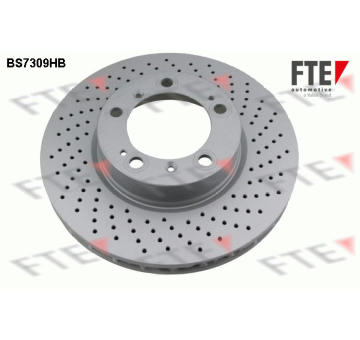 Brzdový kotouč FTE 9081332