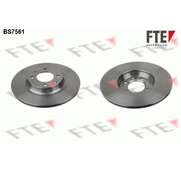 Brzdový kotouč FTE 9072454