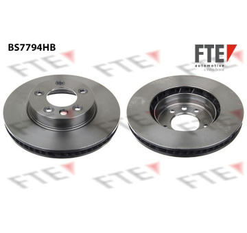 Brzdový kotouč FTE 9081334