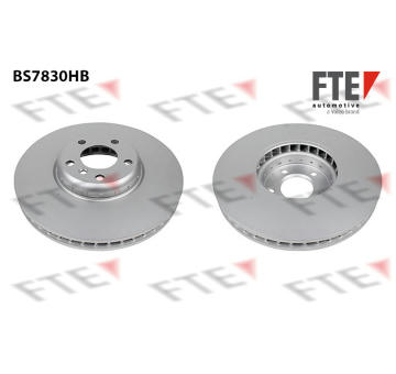 Brzdový kotouč FTE 9081211