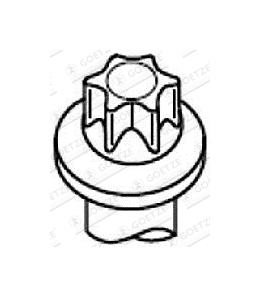 Sada šroubů hlavy válce GOETZE 22-29005B