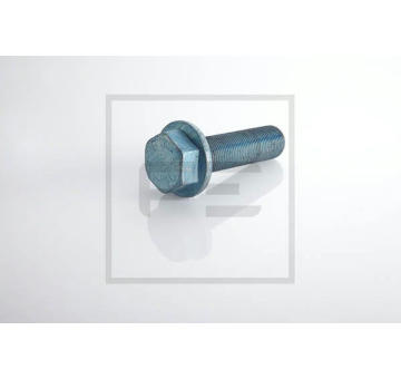 Šroub kola PE Automotive 016.641-00A