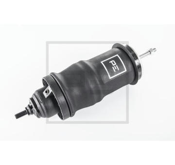 Tlumic, zaveseni kabiny PE Automotive 123.171-00A