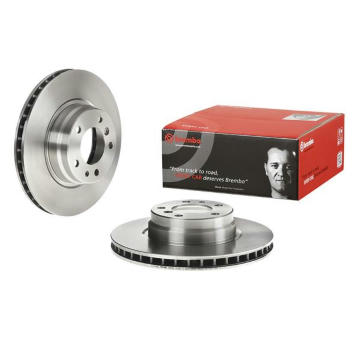 Brzdový kotouč BREMBO 09.5875.10