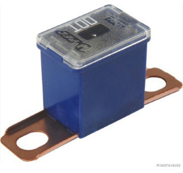 Pojistka HERTH+BUSS ELPARTS 50295468