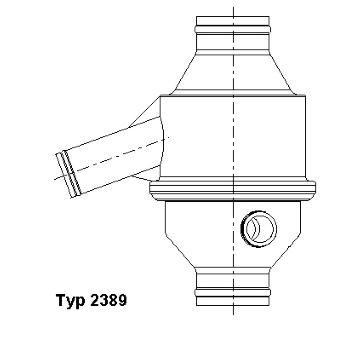 Termostat, chladivo BorgWarner (Wahler) 2389.75/1