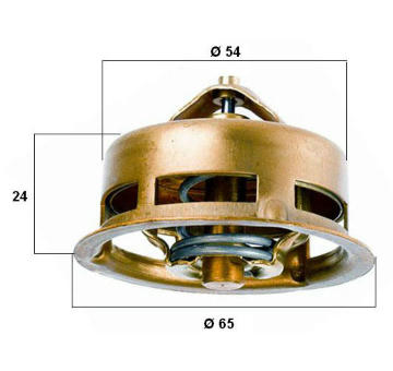 Termostat, chladivo BorgWarner (Wahler) 3096.75