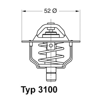 Termostat, chladivo BorgWarner (Wahler) 3100.88D