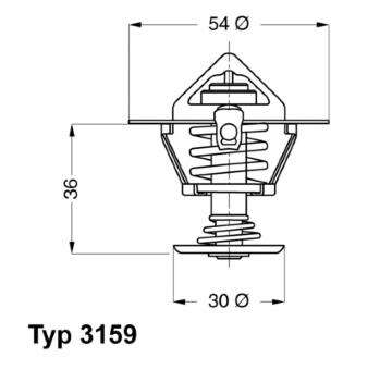 Termostat, chladivo BorgWarner (Wahler) 3159.82D