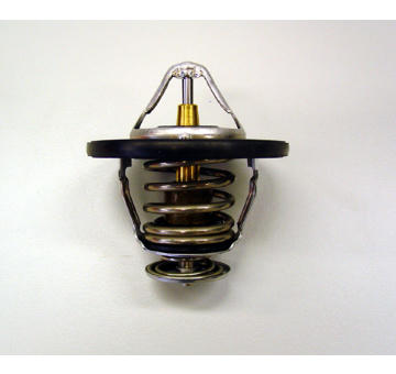 Termostat, chladivo BorgWarner (Wahler) 410180.82D