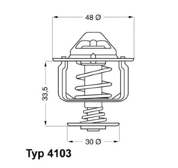 Termostat, chladivo BorgWarner (Wahler) 4103.82D