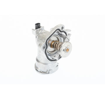 Termostat, chladivo BorgWarner (Wahler) 410403.92D