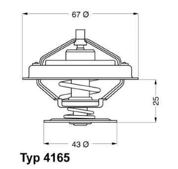 Termostat, chladivo BorgWarner (Wahler) 4165.79D