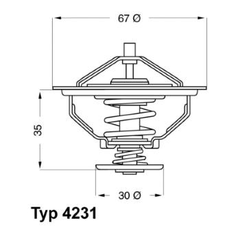 Termostat, chladivo BorgWarner (Wahler) 4231.84D