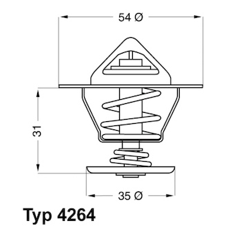 Termostat, chladivo BorgWarner (Wahler) 4264.84D