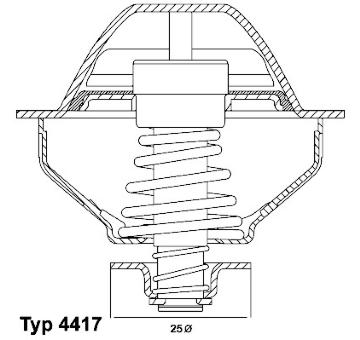 Termostat, chladivo BorgWarner (Wahler) 410289.81D