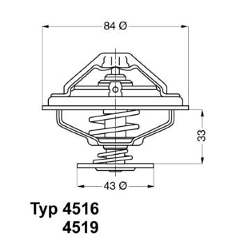 Termostat, chladivo BorgWarner (Wahler) 4516.85D