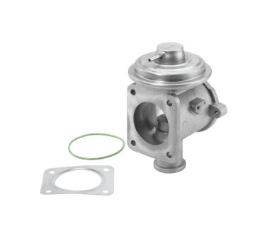 AGR-Ventil BorgWarner (Wahler) 710924R