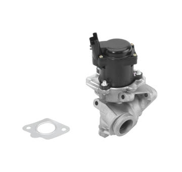 AGR-Ventil BorgWarner (Wahler) 710929R